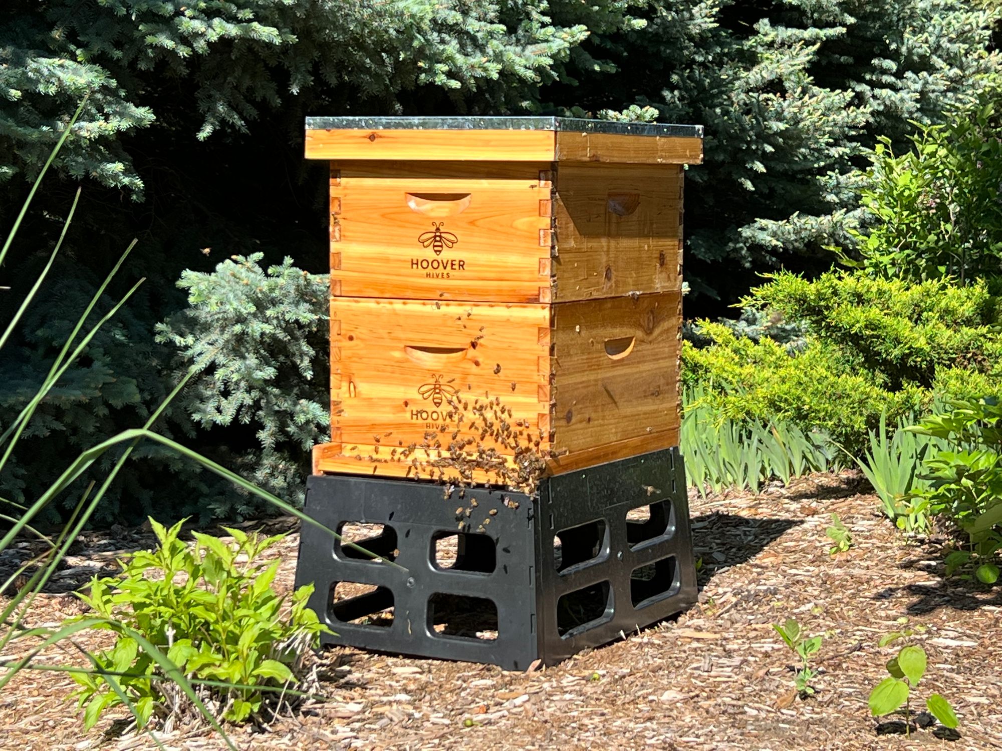 Setting Up My First Beehive