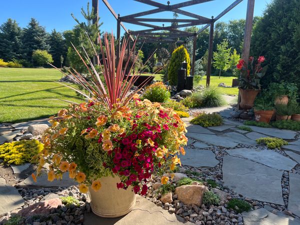 Creating Annual Flower Pots