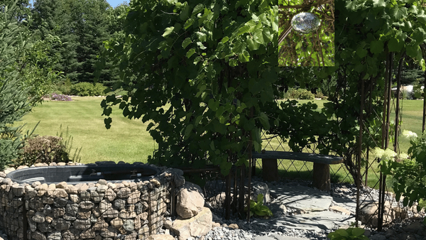 Outdoor Shower